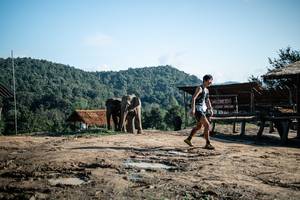 BIB: 
                            <button type="button" onclick="openModal(22423571)" class="btn btn-primary btn-sm float-right btn-popup" data-toggle="modal" data-target=".modal-high-quality">
                        <i class="fas fa-shopping-cart"></i> Add to Cart
                    </button>
                                            <button type="button" onclick="isThisMe(22423571, true)" class="btn btn-success btn-sm float-right btn-popup btn-isme hidden" data-toggle="tooltip" data-placement="bottom" title="นี่คือรูปของคุณใช่ไหม คลิกที่นี่เพื่อเอาเข้าอัลบั้ม">
                        <i class="fas fa-plus"></i> Add to album
                    </button>
                    <button type="button" onclick="isThisMe(22423571, false)" class="btn btn-warning btn-sm float-right btn-popup btn-isnotme hidden">
                        <i class="fas fa-ban"></i> Remove from album
                    </button>